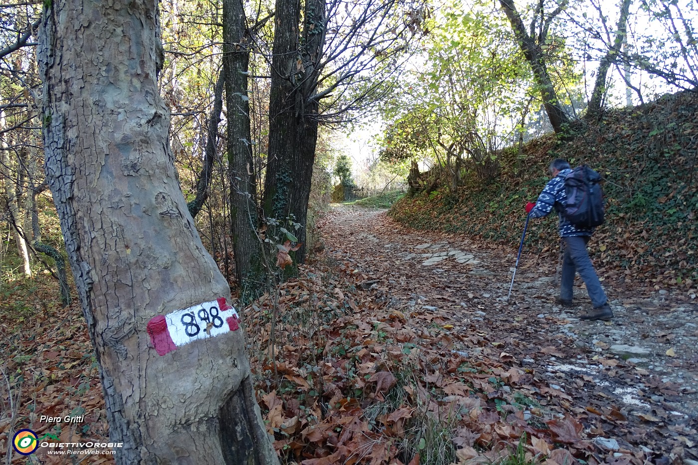 63 Sentiero 898 in Val di Gerra.JPG